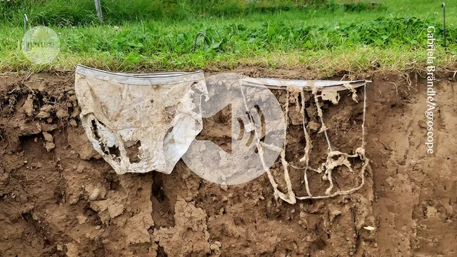 Ig Nobel Prizes Awarded: Underpants Measure Soil Health, Dark Matter Hint Detected