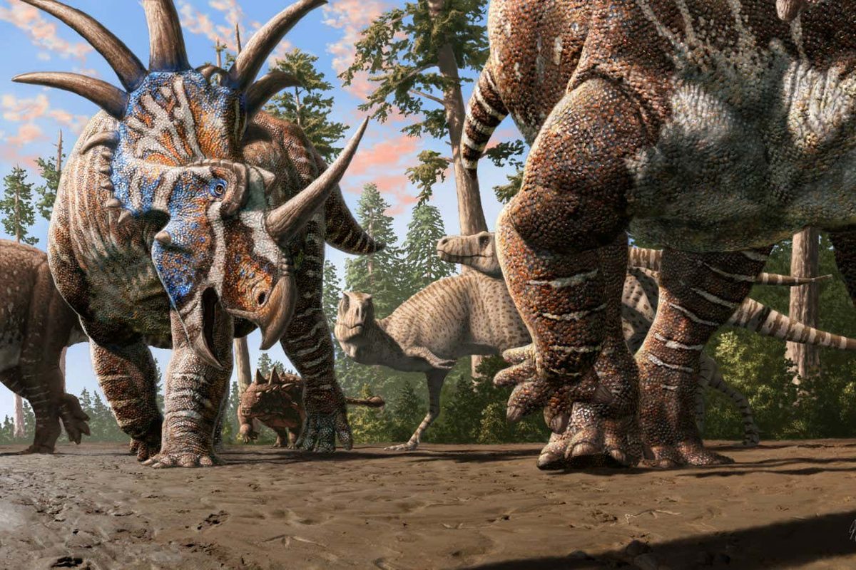 Insights into Dinosaur Behavior: Evidence of Mixed Species Herding Revealed by Track Discoveries