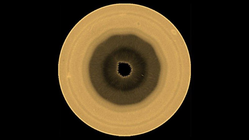 Saturn's South Pole Hosts Mysterious Decagon, Challenging Hexagon Uniqueness