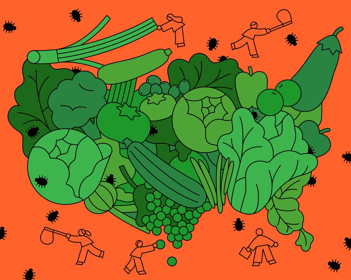Record Cyclosporiasis Outbreak Exposes Weakened Food Safety Net Amid Funding Cuts