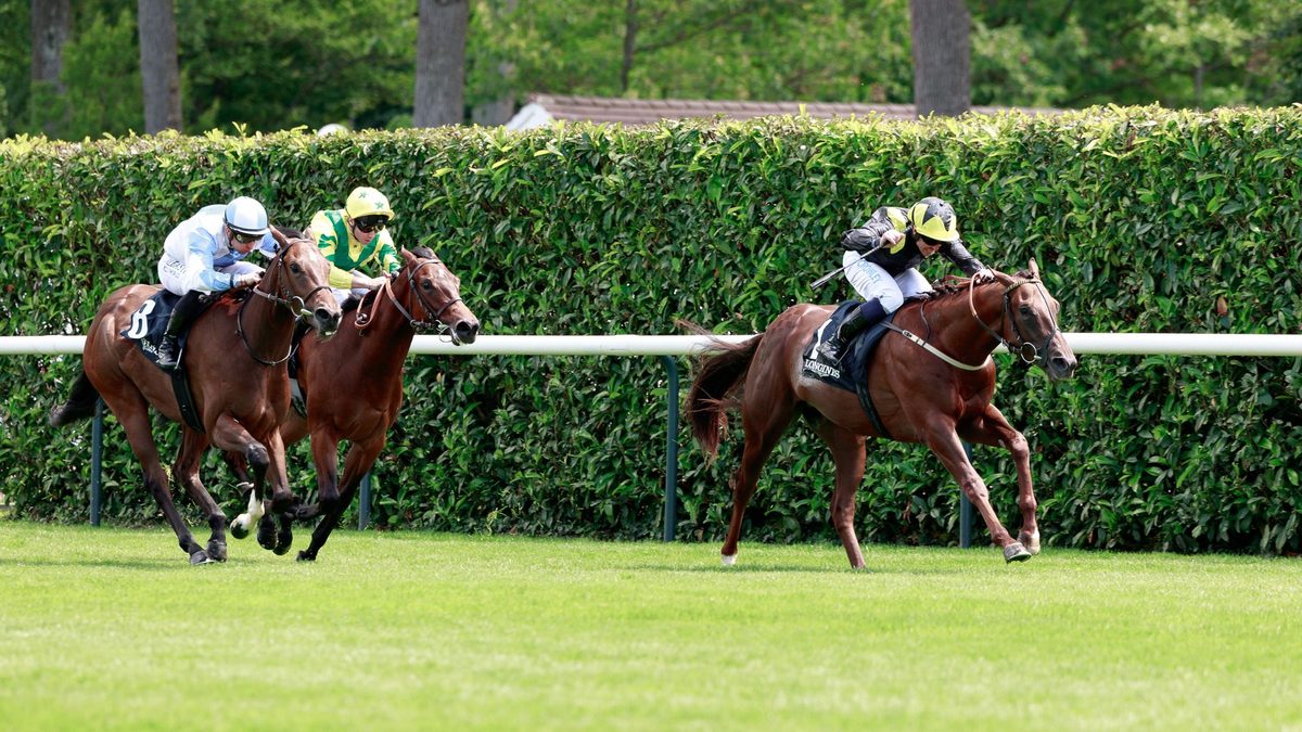 Green Sense and Tadej Set for Thrilling Duel in Prestigious Prix Robert Papin