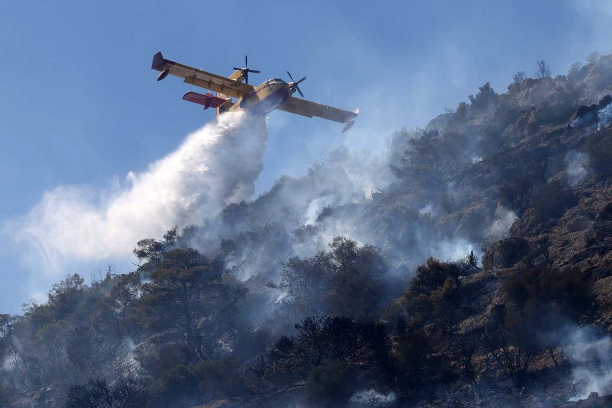 New Study Reveals Climate Change Nearly Tripled Deaths in Europe’s Recent Heatwave