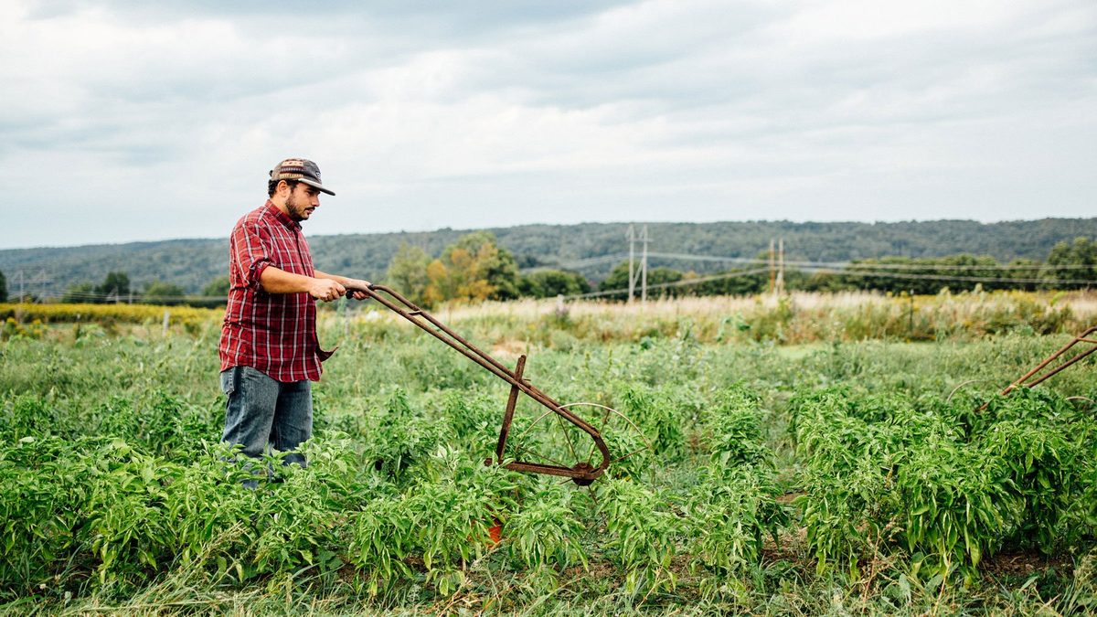 Classic Gardening Tools that Promote Sustainable Practices