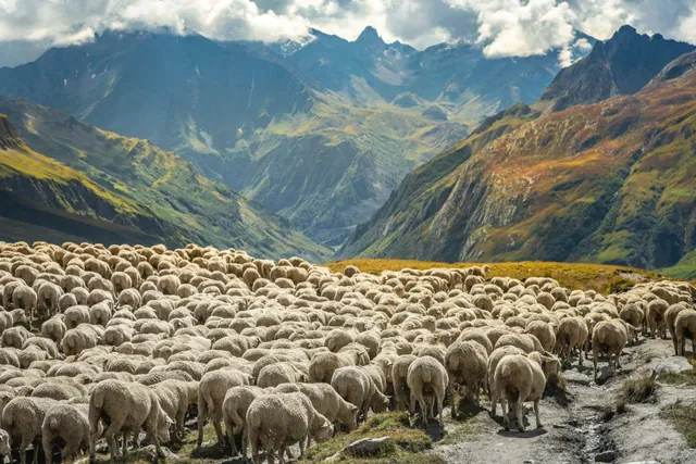 Alpine Landscapes Under Threat: Four Millennia of Farming and Grazing Devastate Mountain Soils