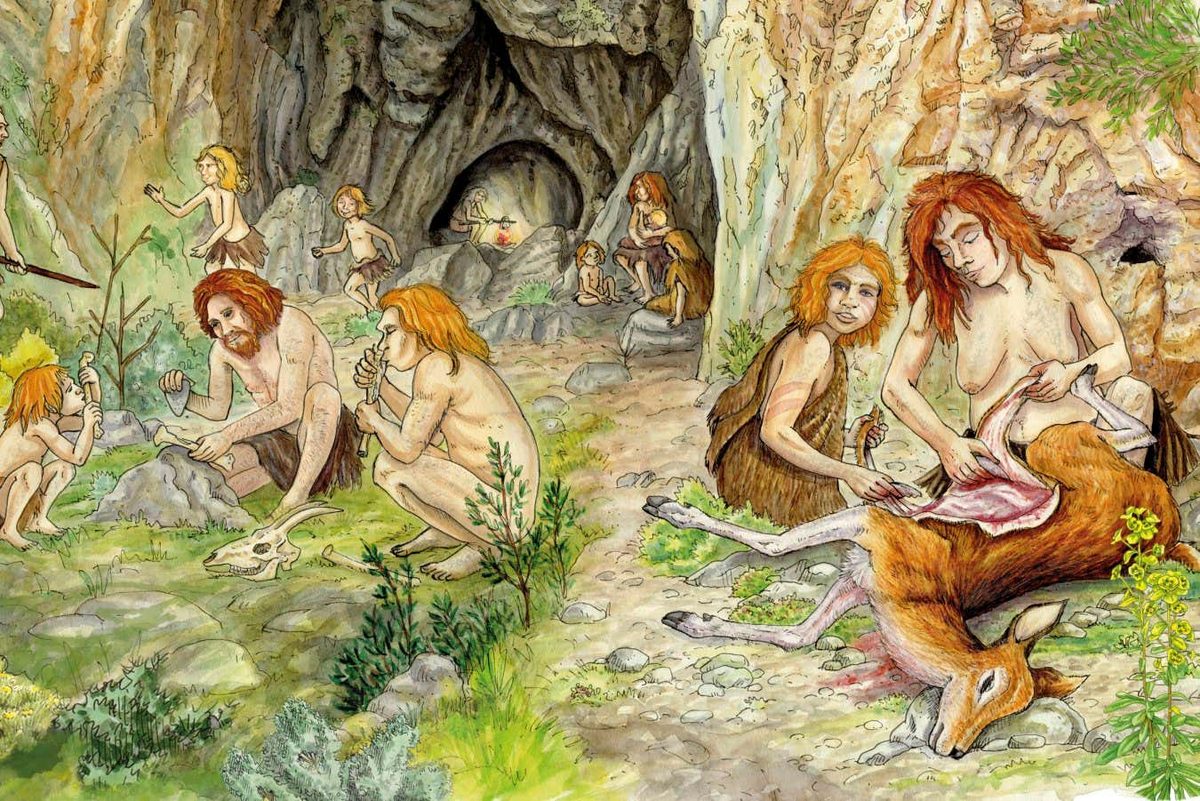 Distinct Culinary Practices Among Neanderthal Groups Highlight Early Cultural Diversity