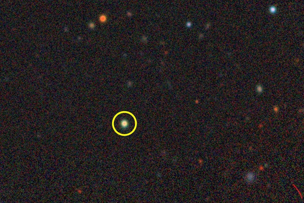 Discovery of Local 'Little Red Dot' Galaxies Offers New Insights into Cosmic Evolution