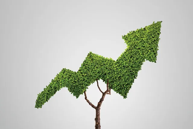 Franchise Excellence in 2024: Which Brands Dominate the Global Market?