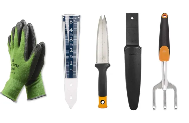 Top Garden Tools for 2025: Essential Picks for Every Gardener