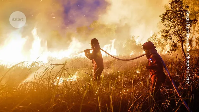 Monster El Niño Triggers Global Disruptions, Unprecedented Strength Fueled by Warming