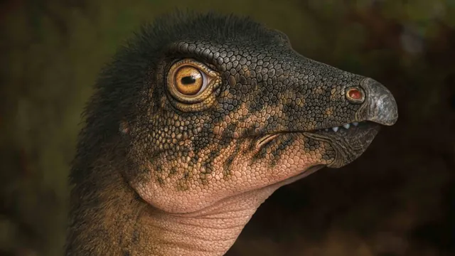 Denver Museum Unearths 67.5-Million-Year-Old Dinosaur Fossil Beneath Its Parking Lot