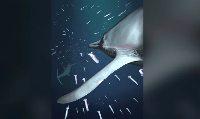 Jurassic Ichthyosaurs Possibly Reduced Swim Noise by up to 10 Decibels, Revealing Silent Hunting Adaptations