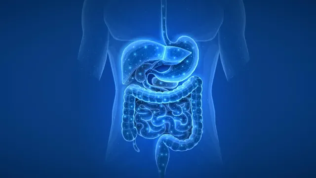 Common Medications Alter Gut Microbiome for Years Post-Treatment, Study Reveals