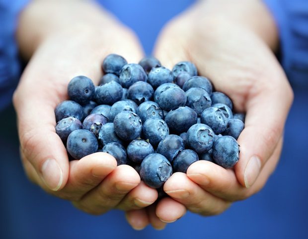 New Cancer Therapy Target: ROS-Dependent T Cells Vulnerable to Tumor Antioxidants