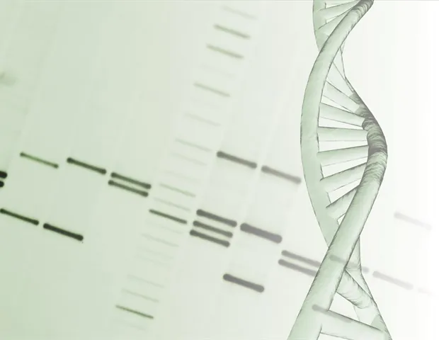 Ancient Viral DNA: Unveiling Its Crucial Role in Human Gene Regulation