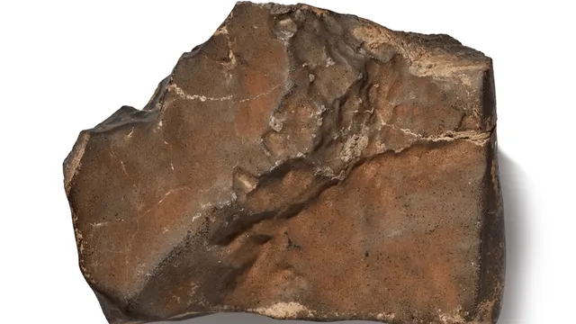 Largest Martian Meteorite Ever Found on Earth Sells for $5.3 Million