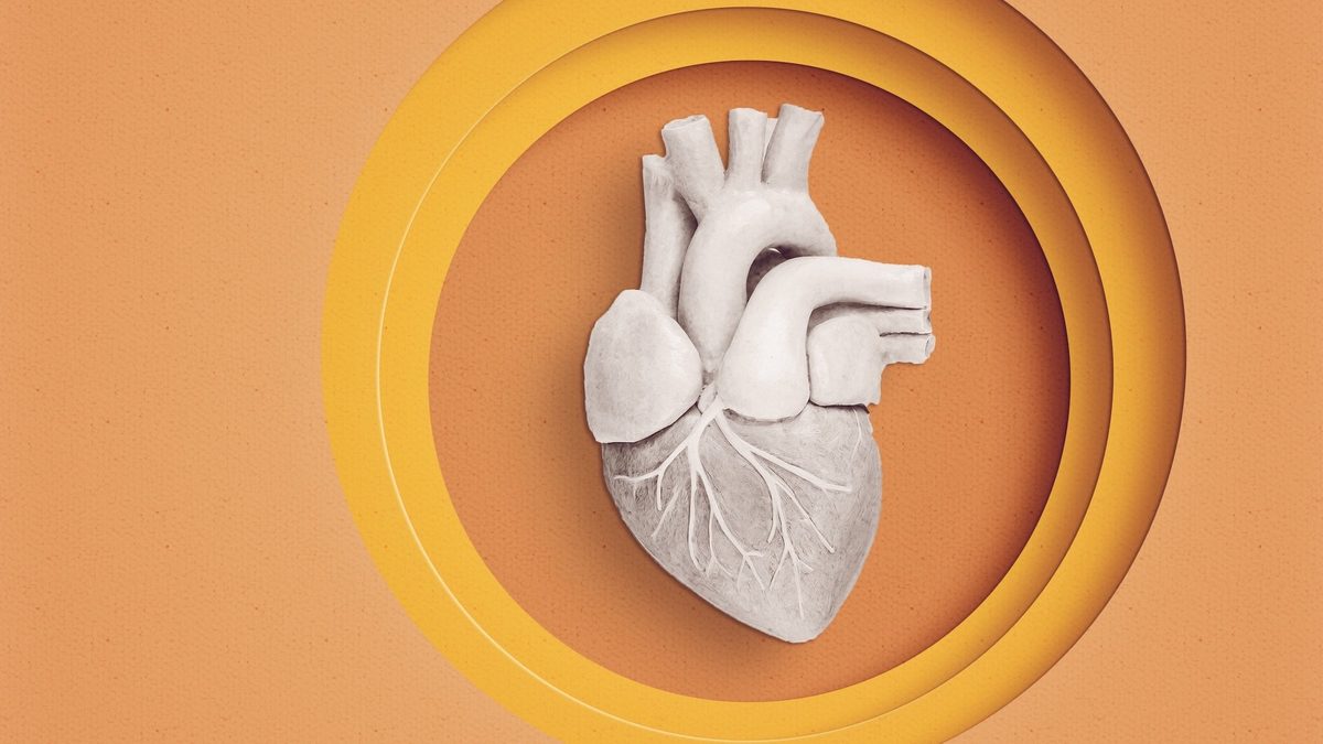 Innovative Heart Recovery Techniques Could Boost Pediatric Transplants by 20%