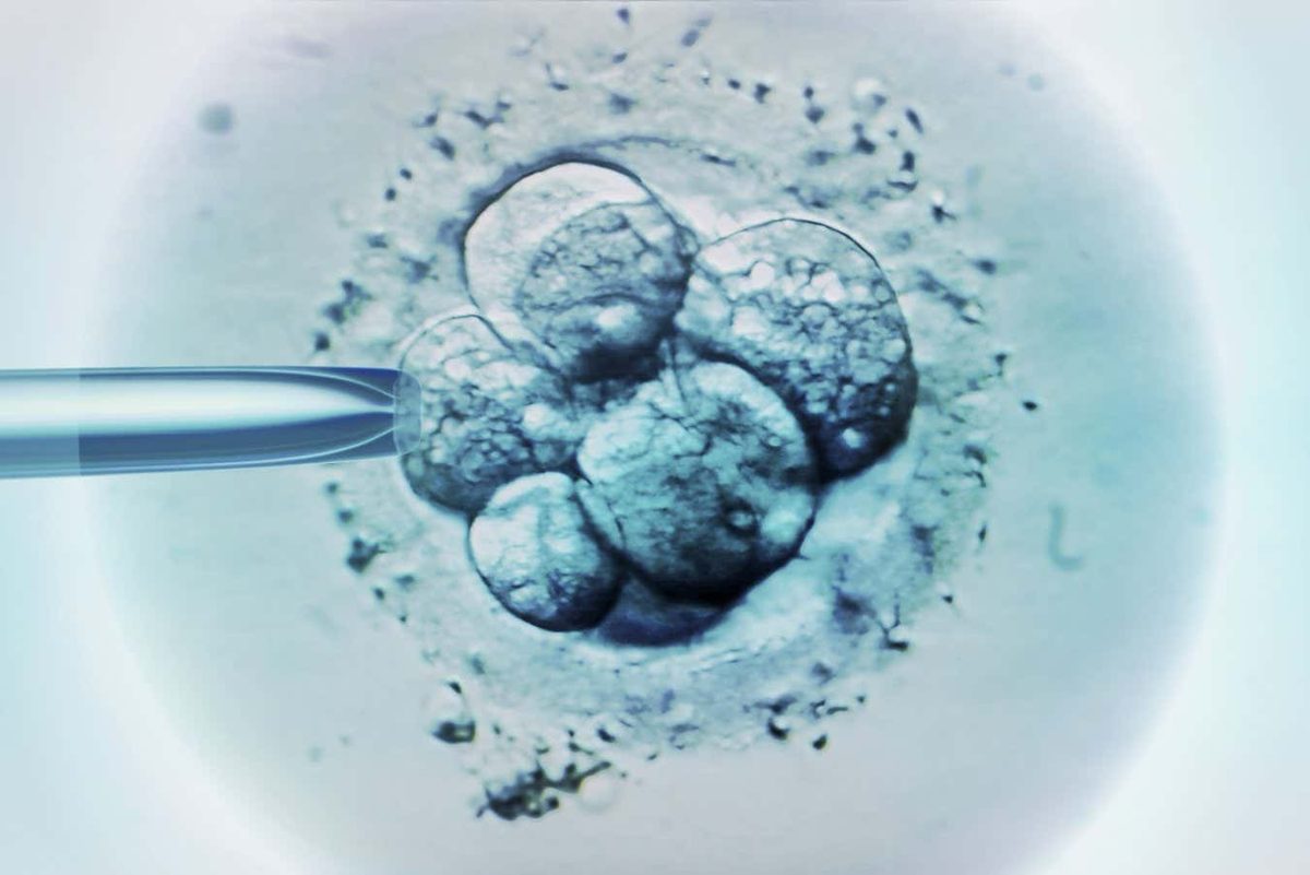 Groundbreaking Genetic Technique Leads to Healthy Births: A New Dawn for Genetic Disorders