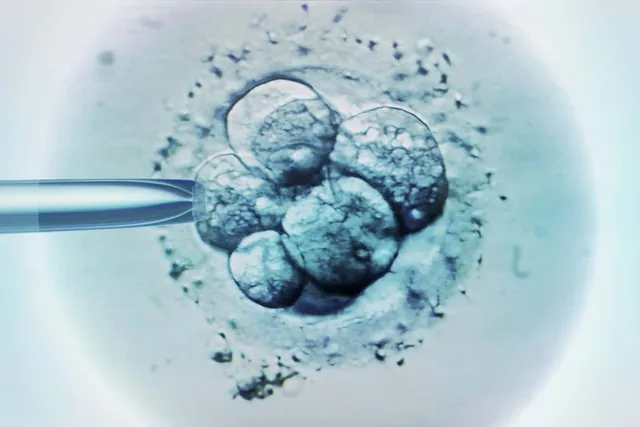 Groundbreaking Genetic Technique Leads to Healthy Births: A New Dawn for Genetic Disorders