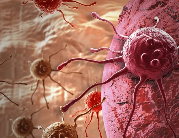Emory University Study Highlights the Broad Benefits of Heart-Healthy Habits on Mind and Body