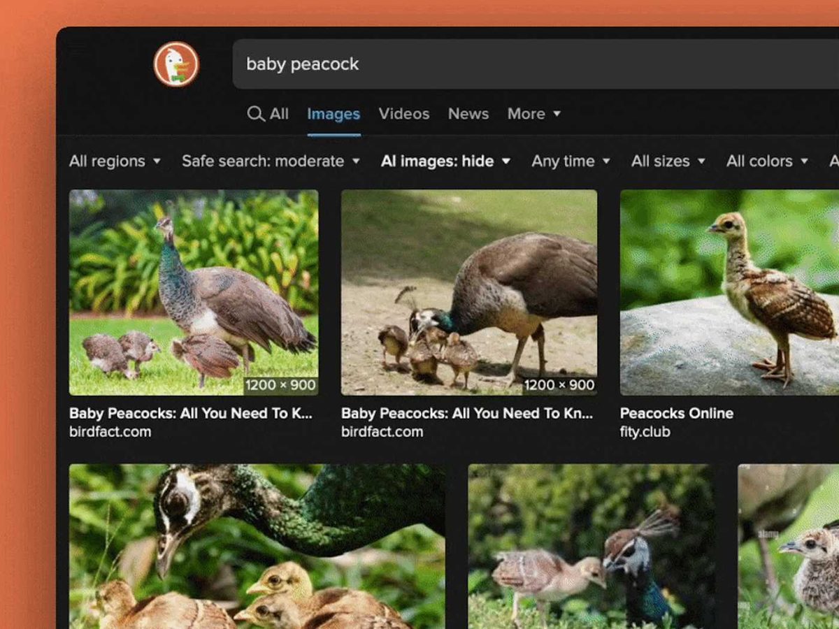 DuckDuckGo Introduces AI Image Filter to Reduce AI-Generated Content by Significant Margin
